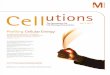 Cellutions Volume 3 2011