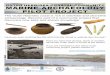 Outer Hebrides Coastal Community Marine Archaeology Pilot Project Poster