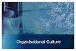 9. Organisational Culture