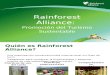 21. Mp 4. Rain Forest Alliance Promocion Ts