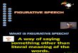 Figurative Speech(New o7)