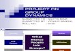 Project on Group Dynamics 2