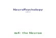 u02 NeuroPsych Slides 2011