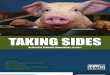 Taking Sides: Action For Animals Newsletter