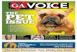 The Georgia Voice - 8/5/11 Vol. 2, Issue 11