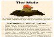 Slide Show Mole Concept