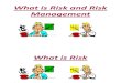 What is Risk and Risk Management