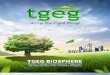 1.0 Tgeg Company Information