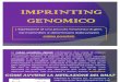 [2009-2010] Seminari - Imprinting Genetico (Faraci, Iraci, Giadone)