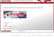 Brochure & Order Form_Italy B2C E-Commerce Report 2011_by yStats.com