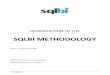 Introduction to SQLBI Methodology Draft 1.0