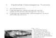 Chapter 14 Odontogenic Benign Tumors of the Jaws.slides