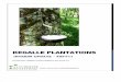 Kegalle Plantations PLC- review- june 2011