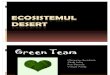 Ecosistemul Desert (1)