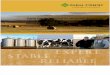 Farm Credit System General Overview Brochure - June 2011