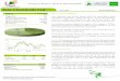 Tata Chemicals Ltd - Q4 FY11 Result Update