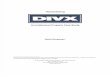 Divx Ip Case Study