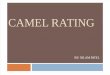 Neel Camel Rating