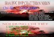 Hoa Hoc Hop Chat Tu Nhien