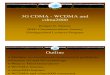 3g Cdma Wcdma and Cdma2000-Ieee-ziemer