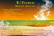 Ufone Project Final