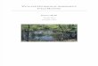 Wetland Hydrologic Assessment