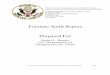 012011HemricMeadowbrook Forensic Audit