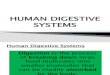 HUMAN DIGESTIVE SYSTEMS