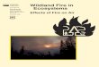 wildland fire in ecosystems - effects of fire on air