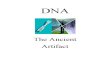 DNA The Ancient Artifact