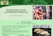 Biodiversity & Conservation of Indonesian Primates