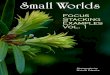 Small Worlds - Focus-Stacking Examples Vol. 1