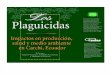 Los plaguicidas: Impactos en produccion, salud y medio ambiente en Carchi, Ecuador