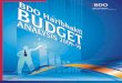 BDO Haribhakti Budget Analysis 2009-10