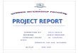37862754 Project Report Job Satisfaction