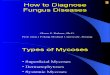 3.) How to Diagnose Fungus Diseases
