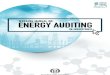 Working Manual on Energy Auditing