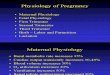 04 Pregancy Physiology Complete
