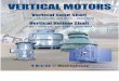 Vertical Motor Flyer 04-04