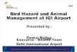 Bird Animal Strike Hazard Manangement - Mitigation Plan - Delhi Airport