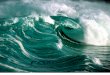 Force of Nature -- Positive Waves -- Boultbee Vegetation Management -- MODIFIED -- PDF -- 300 Dpi