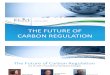 Carbon Regulation 071310