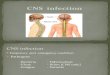CNS Infection Intro
