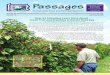 July-Aug 2008 Passages Newsletter, Pennsylvania Association for Sustainable Agriculture