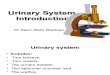 PGU1 Intruduction to Urinary System
