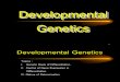 Dev Genetics [Mod] 2