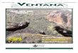 2006, V45 - 3 ~ The Ventana Magazine - Ventana Chapter, Sierra Club