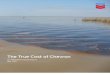 2010 The True Cost of Chevron- Alternative Annual Report