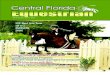 Central Florida Equestrian magazine March 2010- Annual College & Summer Camp Issue