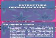 3.2 Estructura Organizacional Unidad III